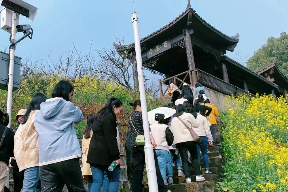 獻(xiàn)禮3.8節(jié)|勇做攀登者，奮進(jìn)新未來