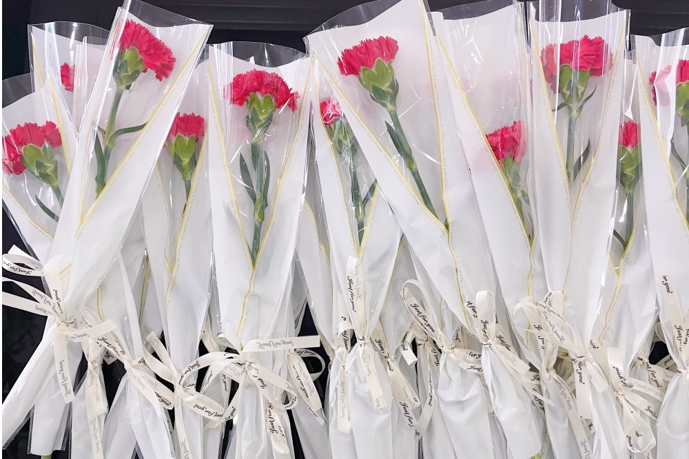 獻(xiàn)禮3.8節(jié)|勇做攀登者，奮進(jìn)新未來